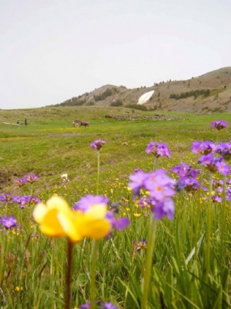 Güzyurdu Köyü Fotoğraflar (2013)