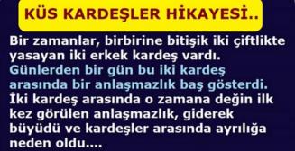 Küs Kardeşlerin Hikayesi