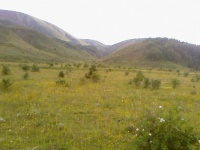 Güzyurdu Köyü 2009 Fotoğraflar